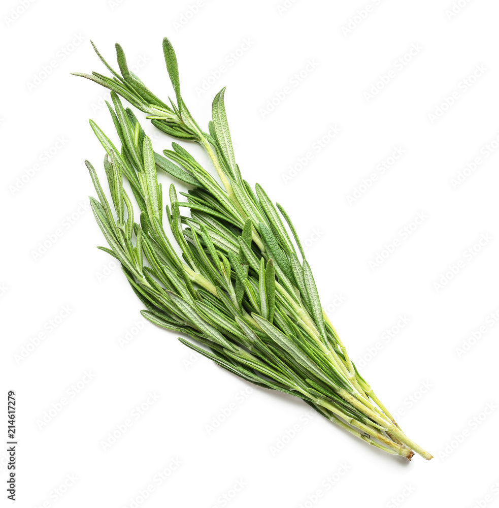Fresh rosemary on white background