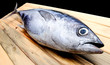 Fresh young bluefin tuna.