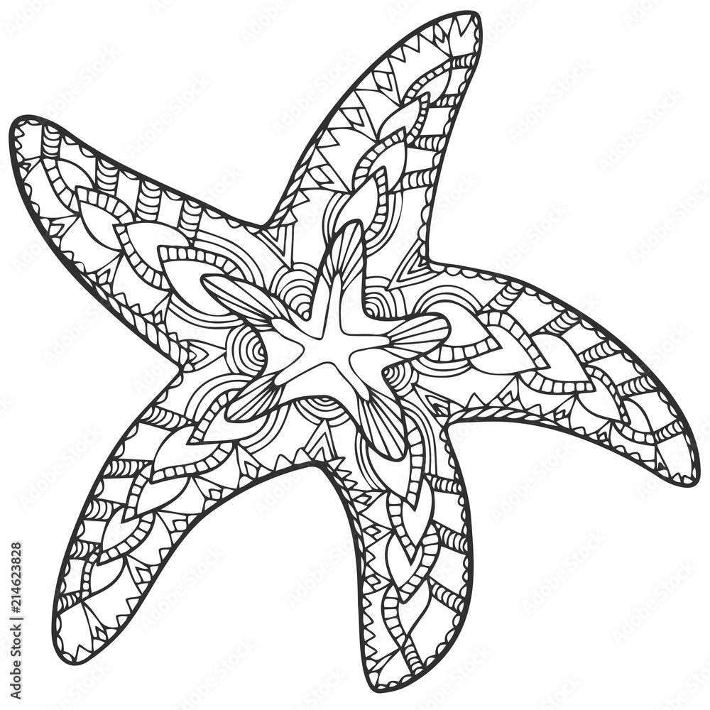 ★CD【中島剛/SUMMER SKETCH】■ Zentangle starfish summer doodle sketch black white Stock