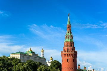 Wall Mural - View of the Kremlin