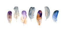 Set Of Colorful Watercolor Feathers On White Background In Vector Format. Hand Drawn Tribal Feathers Illustration.