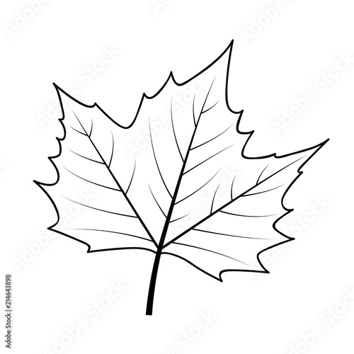 Ahornblatt Vorlage Ahornblatt Vorlage