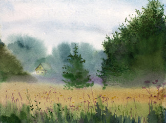 Wall Mural - summer landscape with a house and a field