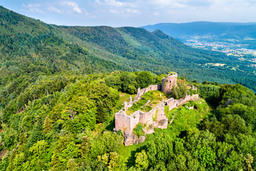 Canvas Print - Frankenbourg castle in the Vosges Mountains, France