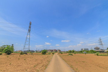 春の四街道市の畑の風景