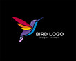 modern colorful hummingbird fly logo