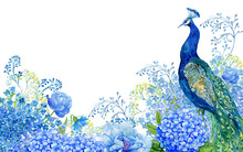 Illustration For Greeting Cards, Big Bird And Peacock Blue Flowers .watercolor Hand Painting