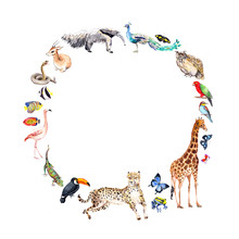 Animals - Zoo, Wildlife - Antelope, Owl, Gecko, Parrot, Other . Wreath Frame For Animal Day. Watercolor