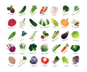 List of common vegetables, clip art miniatures of common vegetables