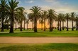 Sunset at St Kilda beach with palm trees in the foreground
