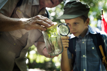 Wall Mural - Boy examining a plant with a magnifying glass