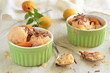 Homemade apricot ice cream with chocolate chips