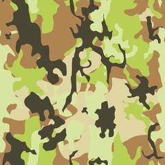 Wall Mural - Military camo fashion