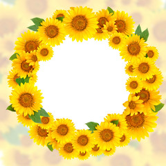 Fotomurales - Wreath of sunflowers on a white background. Background with copy space.
