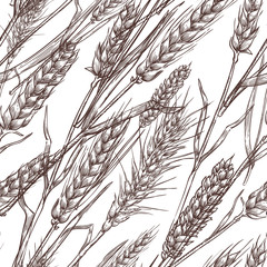 Wheat cereal spikelets, vector seamless pattern. Sketch hand drawn illustration. Bakery and flour package background