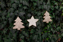 Gold Star And Christmas Trees Decoration Over Green Ivy Background. Christmas Concept