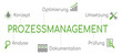 Infografik Prozessmanagement Grün
