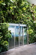 Glass door in the middle of vertical garden, living green wall with flowers and plants under artificial lighting indoors