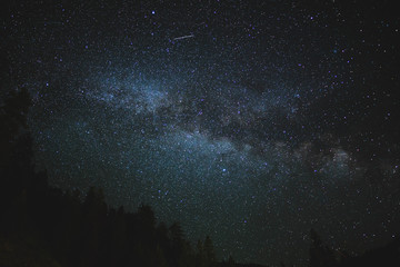 Milky Way with Shooting Star Over Forest Trees