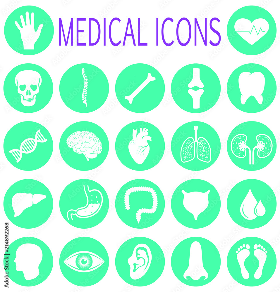 Medical health care. Human medicine research. Set medical icons with abstract human organs and parts of body. Isolated signs for healthcare Infographic. Vector illustration
