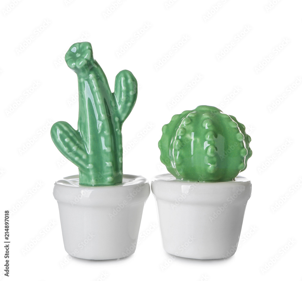 Decorative cacti on white background