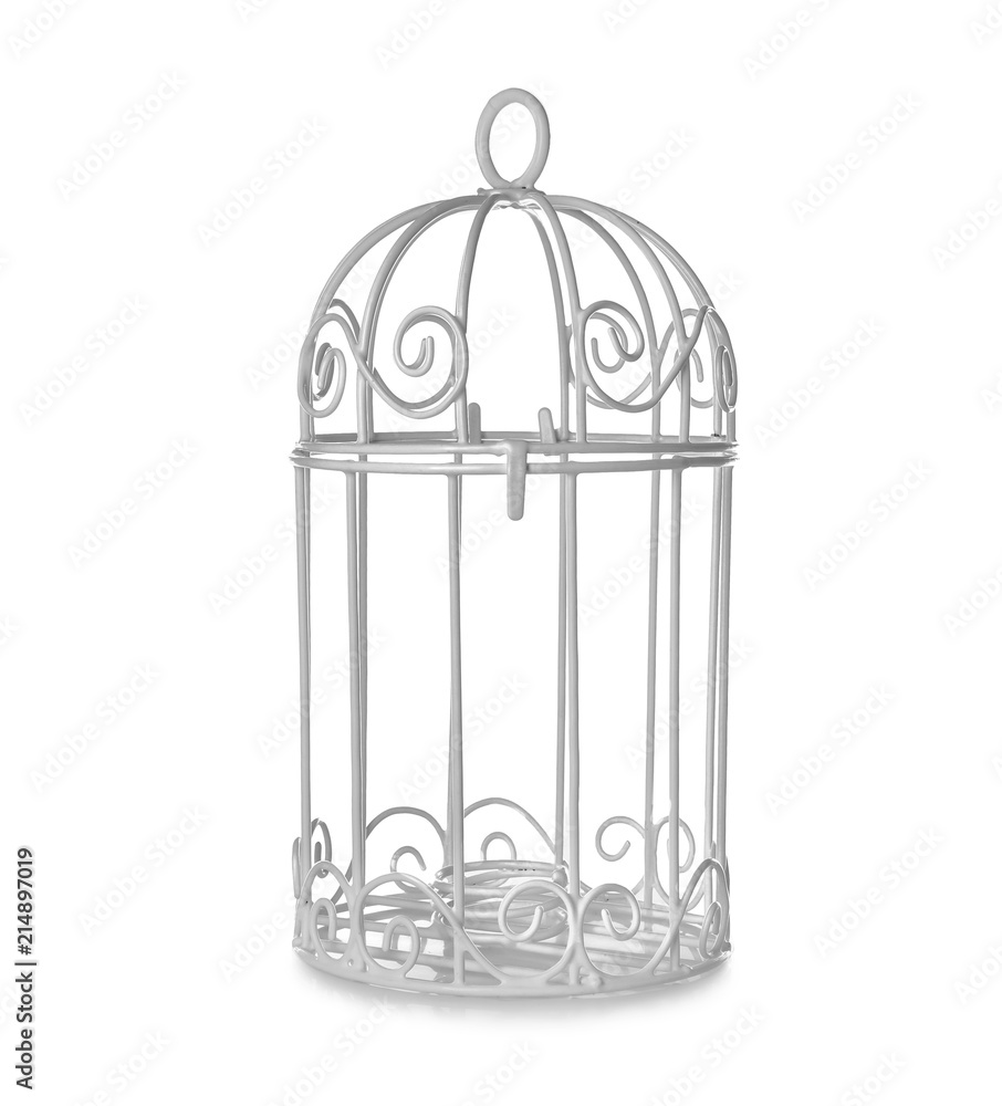 Beautiful decorative cage, isolated on white
