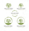 Willow Tree Landscape Design Creative Vector Nature Friendly Sign Concept. Sustainable Eco Illustration