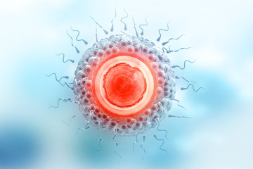 Sperm and egg cell on scientific background