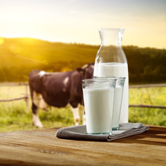 Wall Mural - fresh cold milk and morning rural landscape with cow 