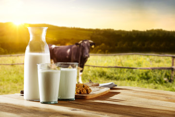 photo of milk and cow