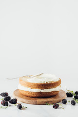 Wall Mural - freshly baked cake on wooden board durrounded with blackberries on white