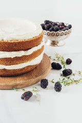 Wall Mural - close-up shot of freshly baked cake on wooden board durrounded with blackberries on white