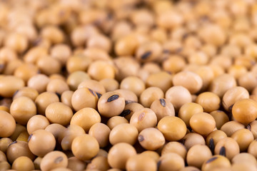 Soybean oil on a wooden background. rustic style