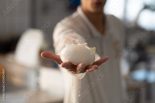 Cuadros en Lienzo Production handmade craftsmanship of mozzarella made with Bufala milk in the Cam