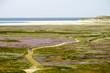 View from the top of a dune towards the Slufter nature reserve on the Dutch island of Texel, with a sandpath meandering through fields of sea lavender and other vegetation