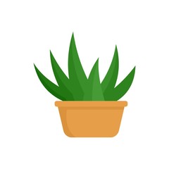 Poster - Aloe room plant icon. Flat illustration of aloe room plant vector icon for web isolated on white