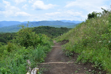 Mountain Path