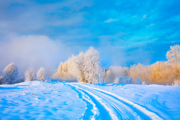winter landscape with road