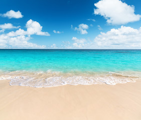 Wave of the sea on the sand beach