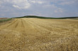 © lotharnahler - stoppelacker vor dem lieberg bei gau-odernheim