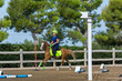 © daniele russo - Close Up of the Red Flag of Start on Blur Man Riding a Horse in a Riding School during a Competition on Blur Background