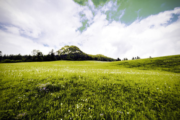 Canvas Print - Green hill