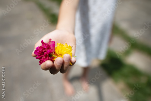カラフルな花を差し出す子供 Adobe Stock でこのストック画像を購入して 類似の画像をさらに検索 Adobe Stock カラフルな花を差し出す子供 Adobe Stock でこのストック画像を購入して 類似の画像をさらに検索 Adobe Stock