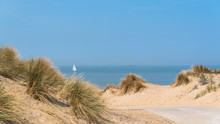 Beach Of The North, Belgium, With A Sailboat And A Cargo Boat In Background
