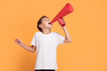 Little handsome boy with megaphone.