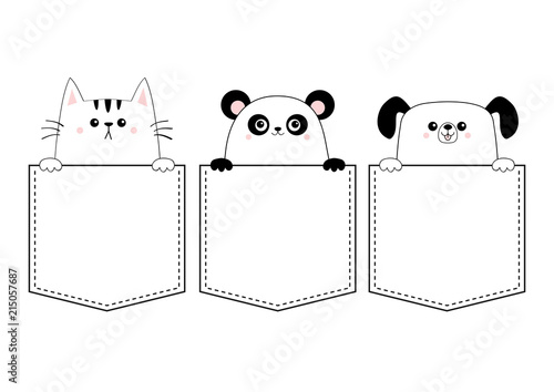 Dog Cat Panda Bear Set In The Pocket Holding Paw Hands Doodle