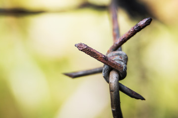 old and rusty barbed wire against nature background