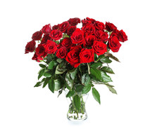 Vase With Beautiful Red Roses On White Background