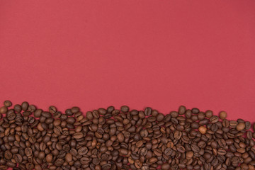 Coffee seeds on a colored background