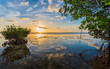 © Jo - Colorful sky reflected in water of mangrove lagoon.
